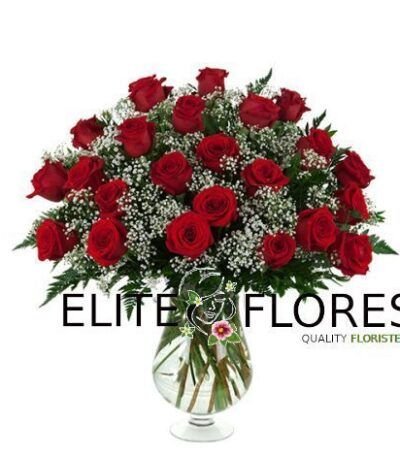23 Rosa roja