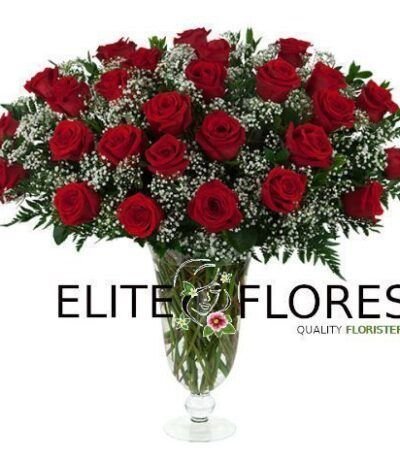 27 Rosa roja