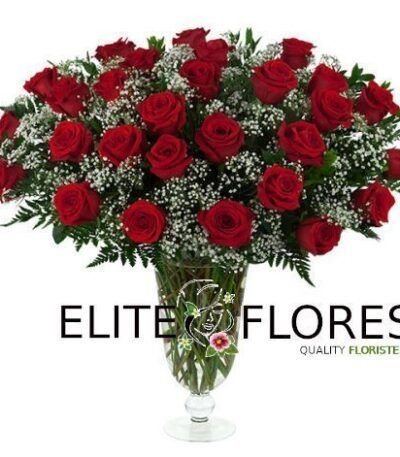 28 Rosa roja