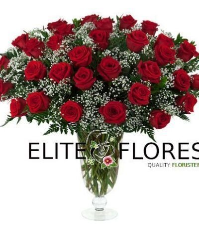 31 Rosa roja