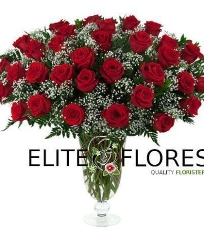 32 Rosa roja
