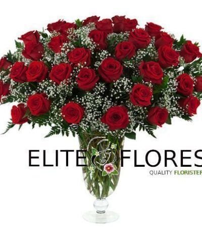 34 Rosa roja