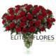 36 Rosa roja