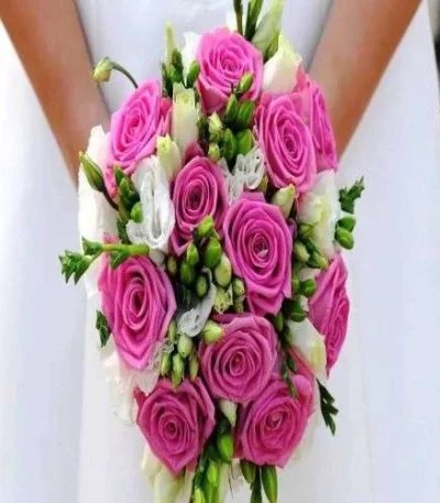 NOVIA-5