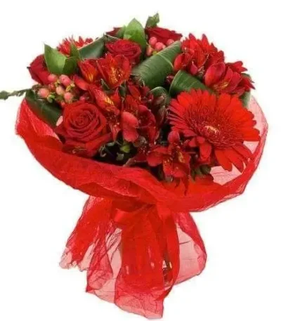 Ramo de Gerbera rojas Rosas y Alstromelias