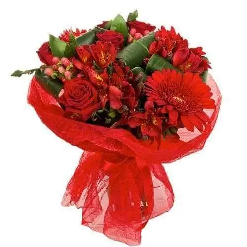 Ramo de Gerbera rojas Rosas y Alstromelias