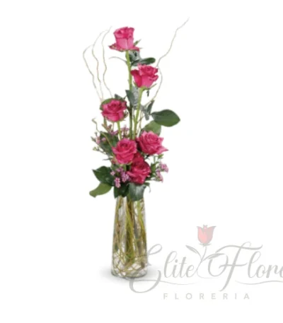 Tubo de rosas para el Día de la Mujer