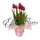 Florero Tulipan Rojo