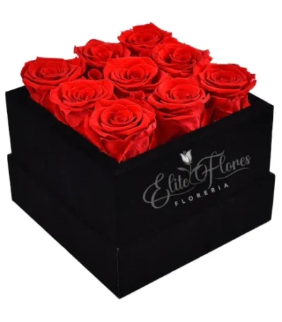 Caja con 9 rosas rojas