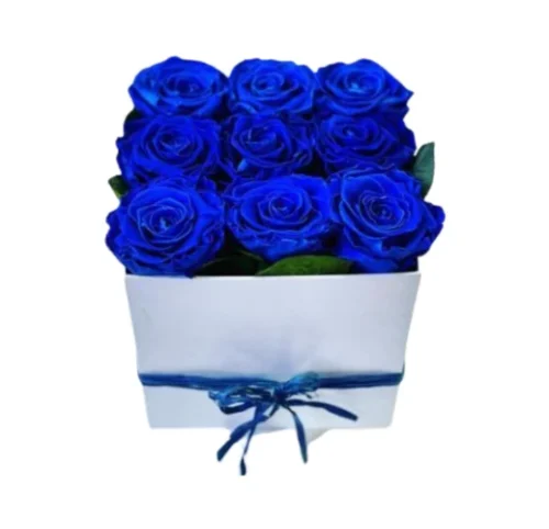 Caja 9 rosas azules