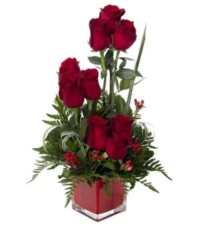 encanto-de-amor