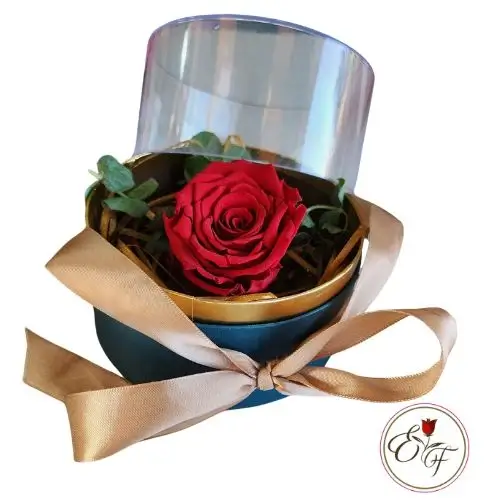 Rosa eterna en caja acrílica