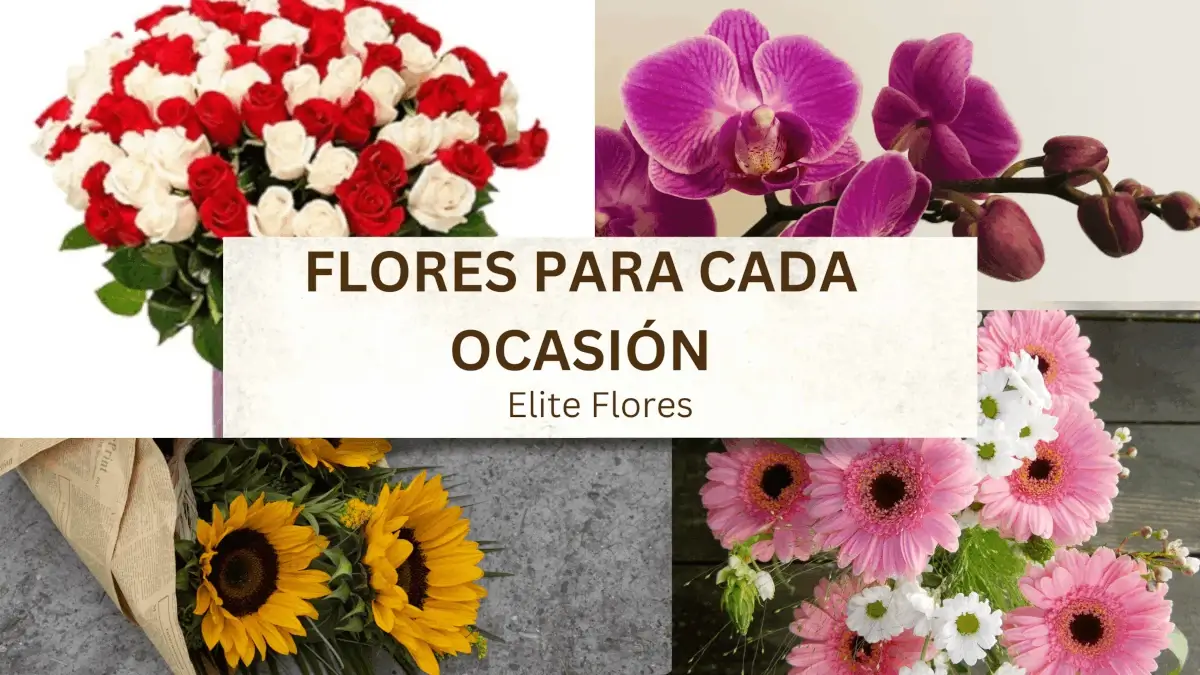 Flores para cada ocasion