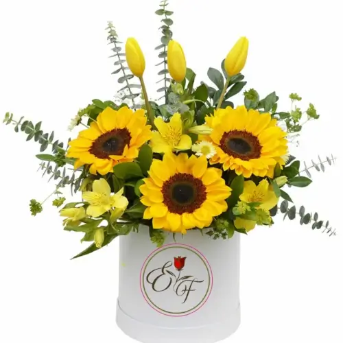 caja girasolesy tulipan