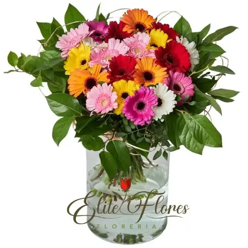 Florero Pequeño con Gerberas surtidas