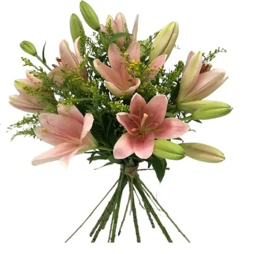 6 lilium rosados asiaticos Ramo de 6 lilium Asiaticos - Imagen 1