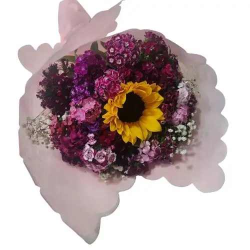 clavelina japonesa clavelina japonesa