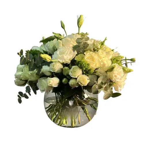 pecera-funebre Pecera Blanca - Imagen 1