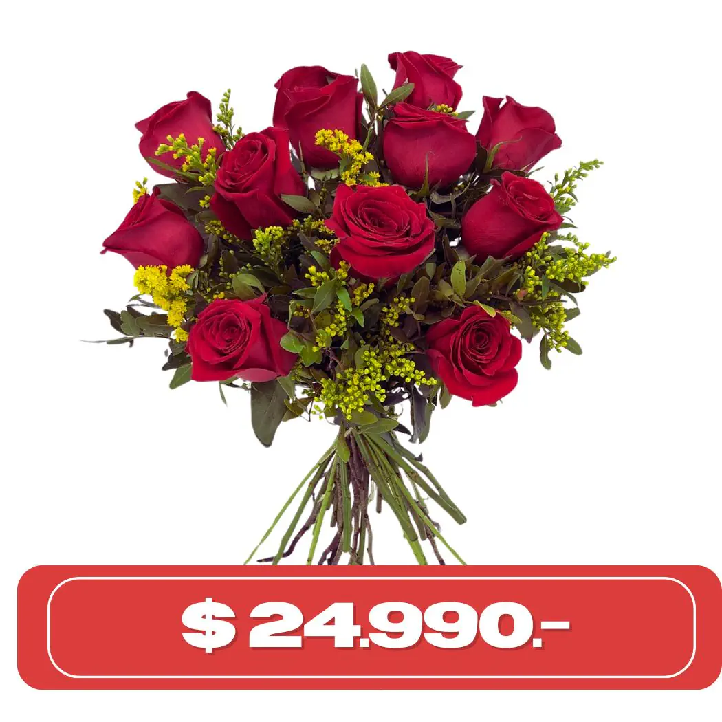 Plan Semanal 12 rosas con solidago