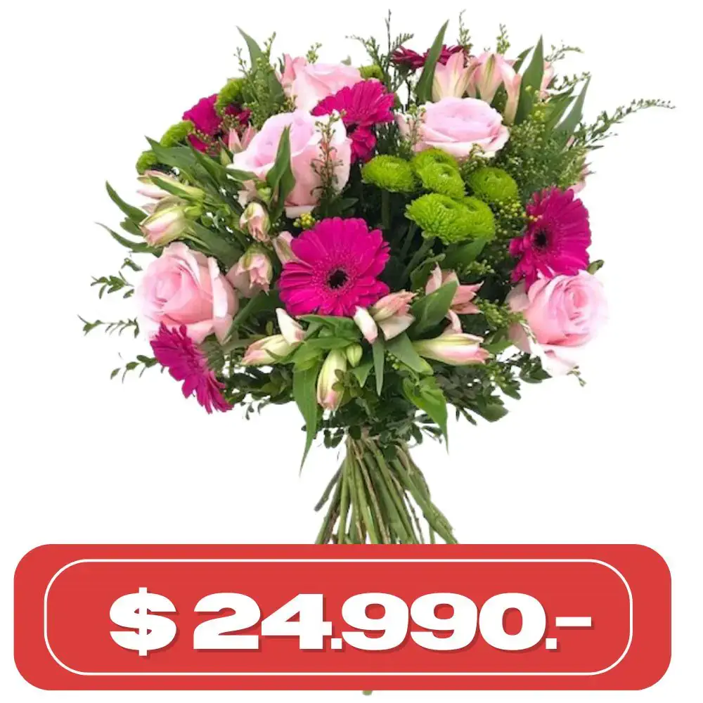 Plan Semanal Rosas gerberas alstromelias y mable