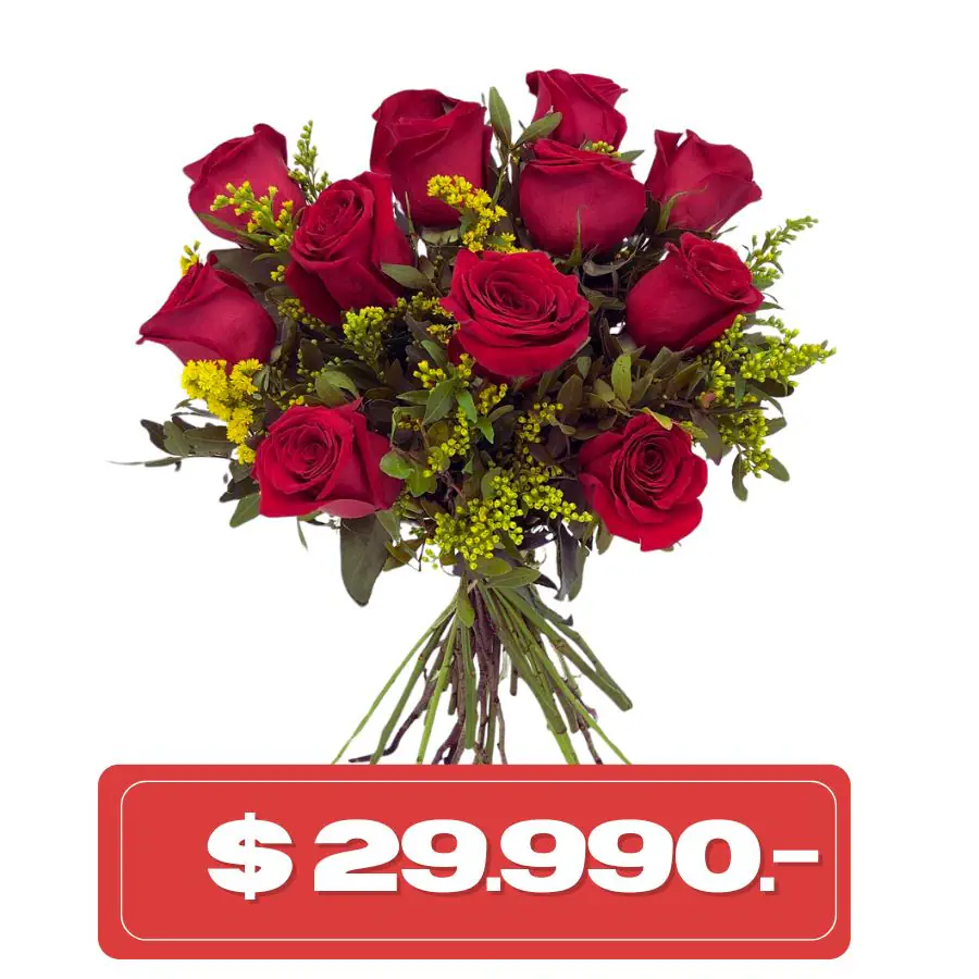Plan Quincenal 12 rosas con solidago