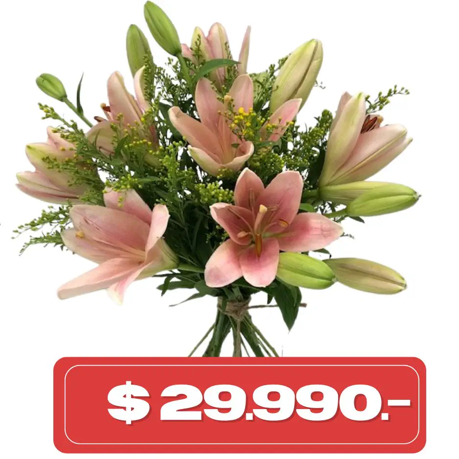 Plan Quincenal Ramo de 6 lilium Asiaticos