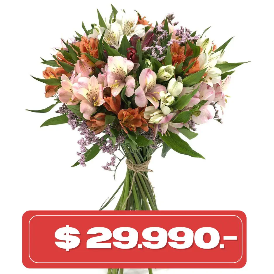 Plan Quincenal Ramo de 30 alstromelias