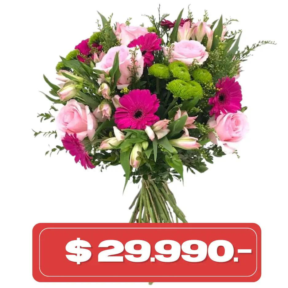 plan_quincenal_gerberas y palm green Plan Quincenal Rosas gerberas alstromelias y mable - Imagen 1