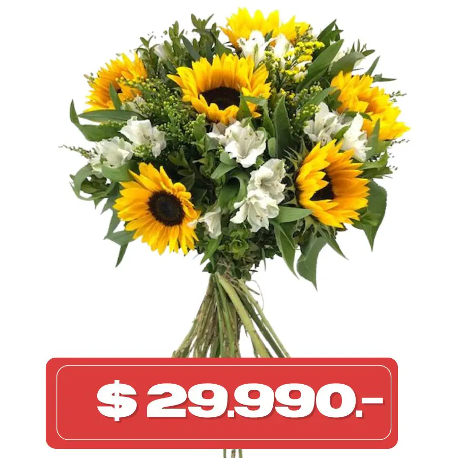 Plan Quincenal Ramo de girasol y alstromelias