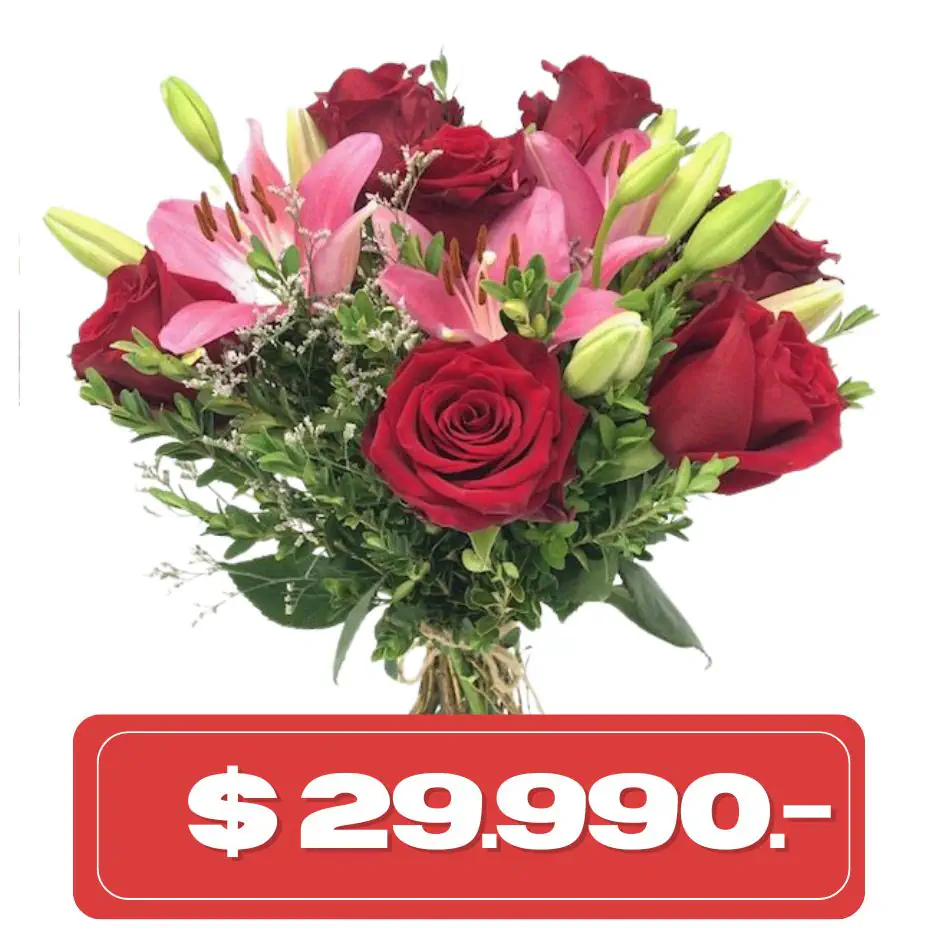 Plan Quincenal Rosas y lilium Asiatico