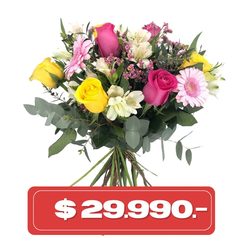 Plan Quincenal Ramo de rosas gerberas y alstromelias