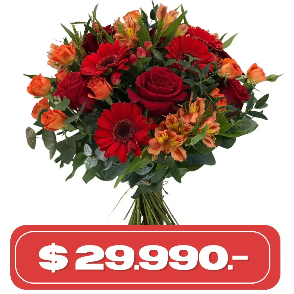 Plan Quincenal Rosas gerberas y alstromelias