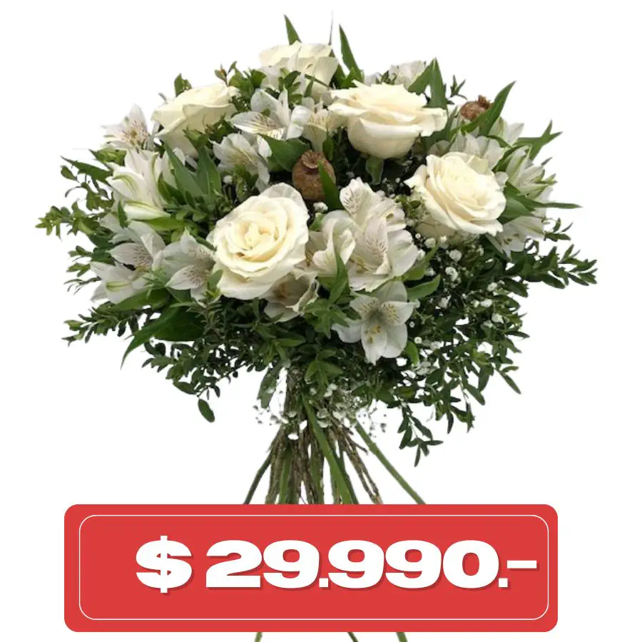 Plan Quincenal Ramo de 4 Rosas Blancas y alstromelias
