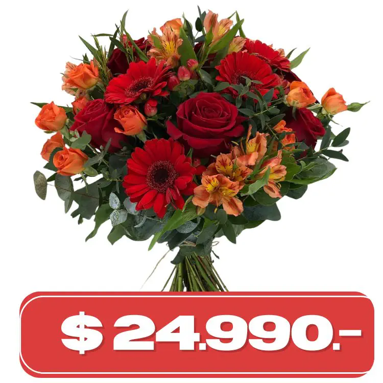 rosas gerberas y alstromelias naranjas Plan Semanal Ramo de 5 rosas y 5 Gerberas - Imagen 1