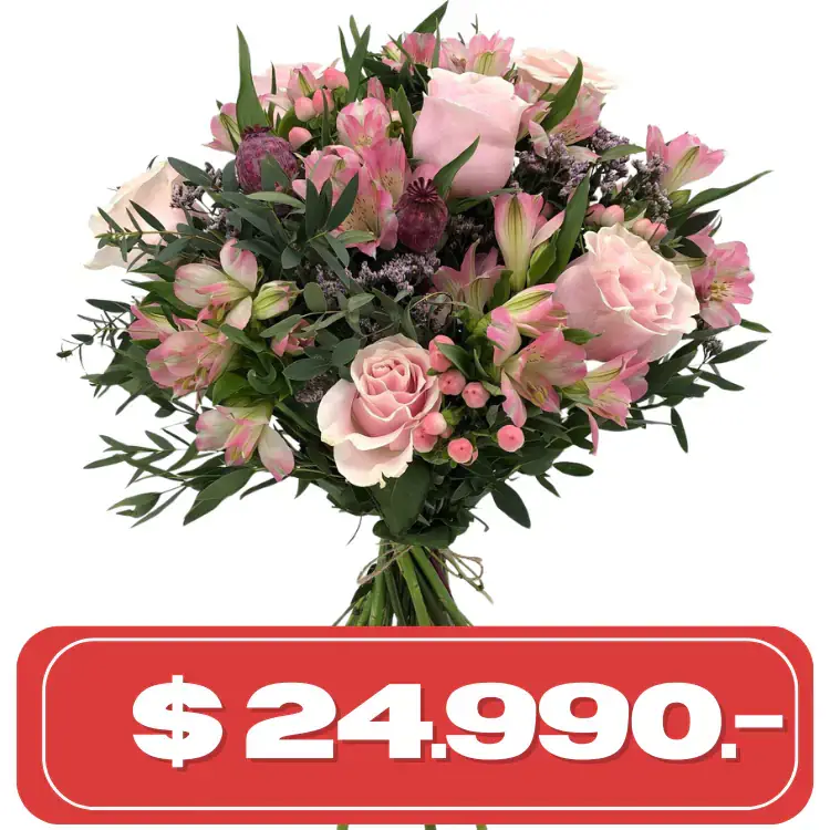 Plan Semanal Ramo de 6 rosas rosadas y alstromelias