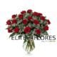 18 Rosa roja