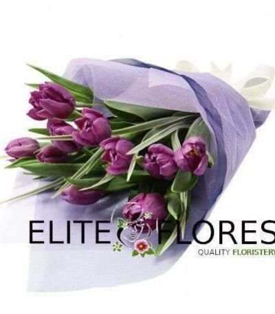 Ramo 10 tulipanes morados