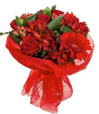 Ramo de Gerbera rojas Rosas y Alstromelias