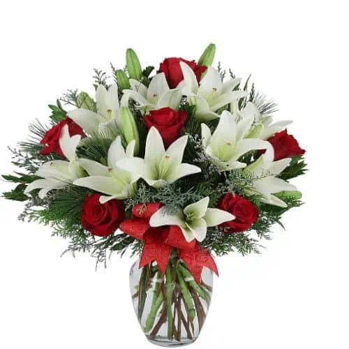 Navidad Alegre Navidad Alegre