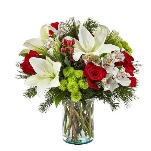 espíritu navideño espíritu navideño