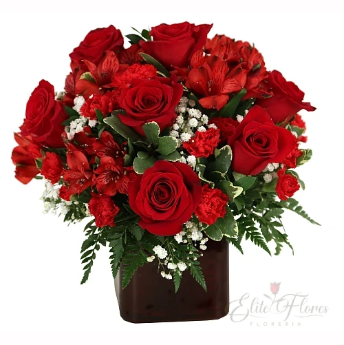 Una pasión por el rojo Una pasión por el rojo - Imagen 1