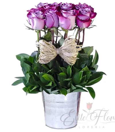 Copa de rosas,flores para el Día de la Mujer