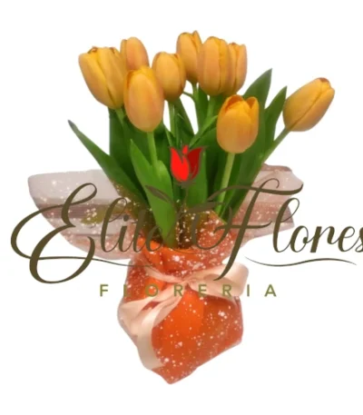 Florero Tulipan Damasco