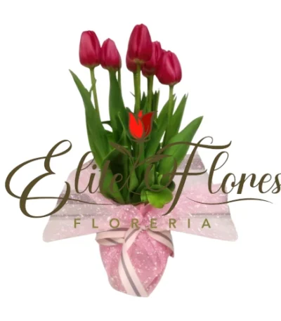 Florero Tulipan Rojo