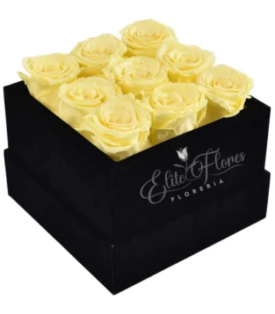 Caja con 9 rosas amarillas