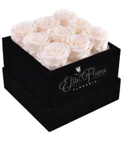 Caja con 9 rosas blancas