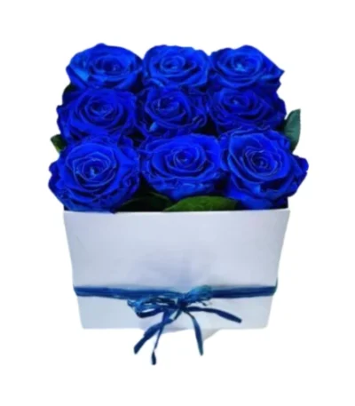 Caja 9 rosas azules