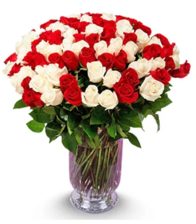 100-rosas-blancas-rojas