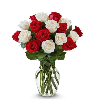 24 rosas-blancas-rojas