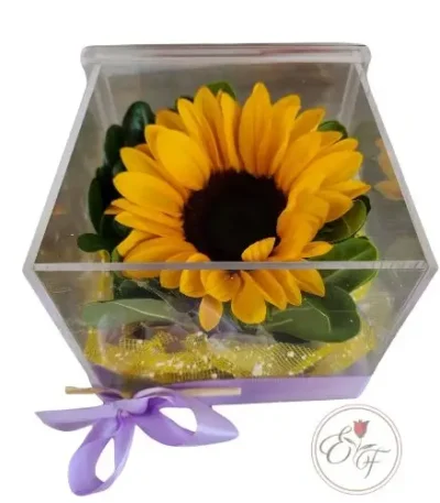 CAJA ACRILICA-CON GIRASOL